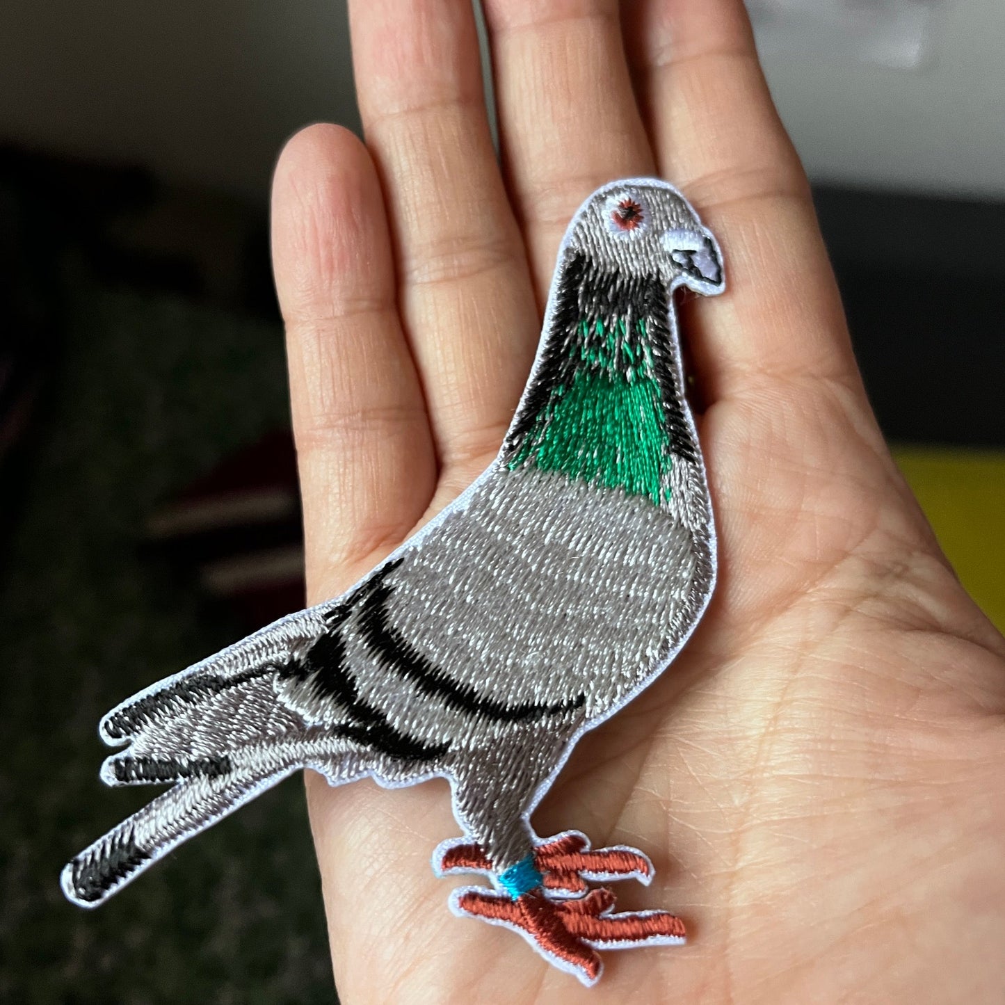 Pigeon Patch
