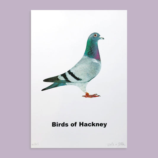 Birds of Hackney