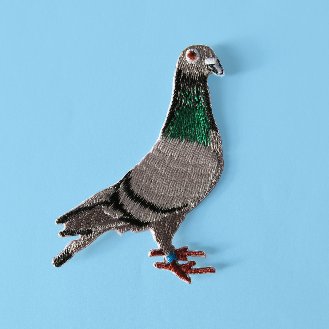 Pigeon Patch