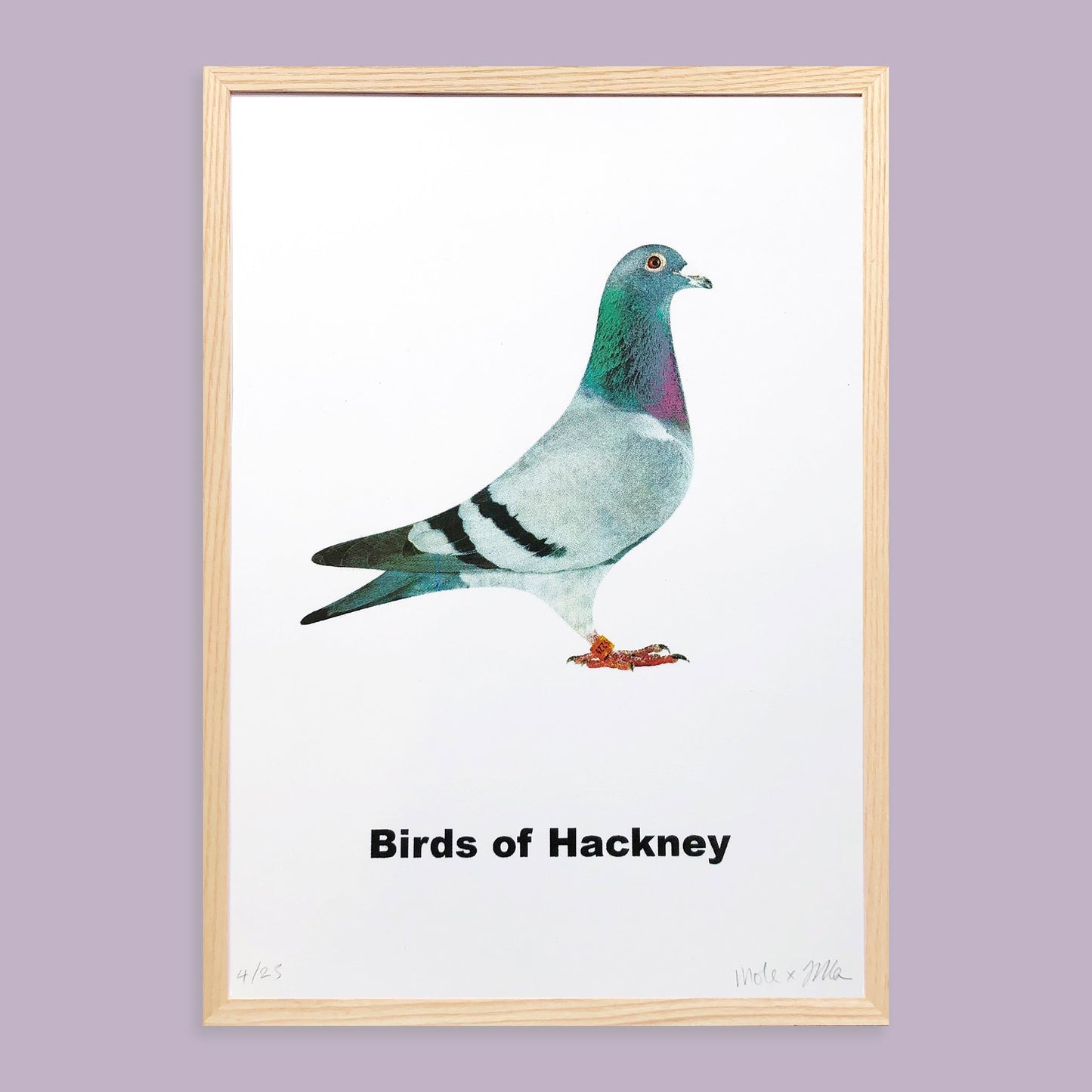 Birds of Hackney