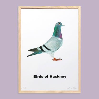 Birds of Hackney