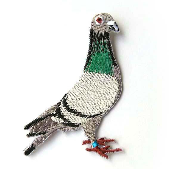 Pigeon Patch
